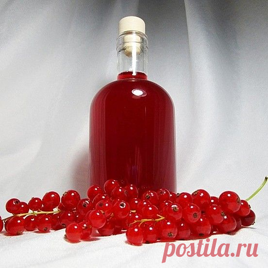 Наливка из красной смородины на водке
450-500 гр. ягод красной смородины
0,5 л водки
150 гр. сахара
Как готовить:
Собранные плоды перебрать, удалив листики и мусор, промыть ягоды в воде.
Уложить сырьё в банку (1 л), добавить сахар и алкоголь.
Плотно закрыть банку и убрать для настаивания на 14 дней. Несколько раз в день тщательно взбалтывать напиток.
Готовую наливку отфильтровать и разлить по подходящим ёмкостям.
Крепость — примерно 21–22 градуса.