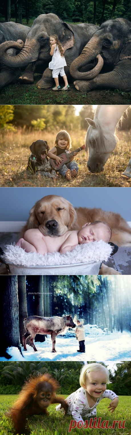 Когда слова не нужны: дети и животные