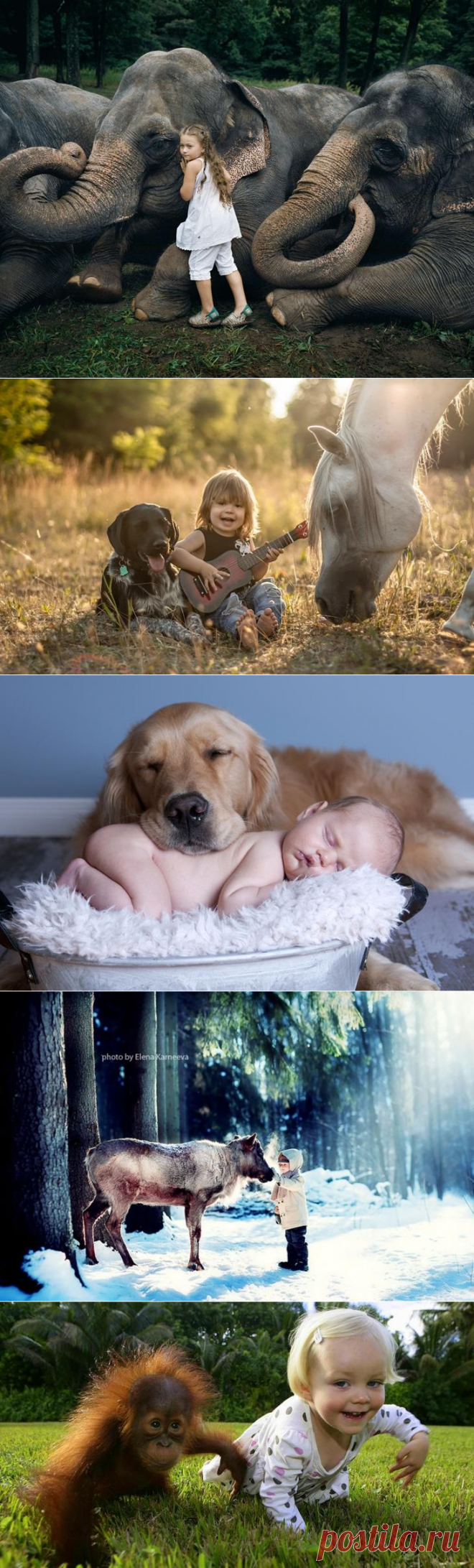 Когда слова не нужны: дети и животные