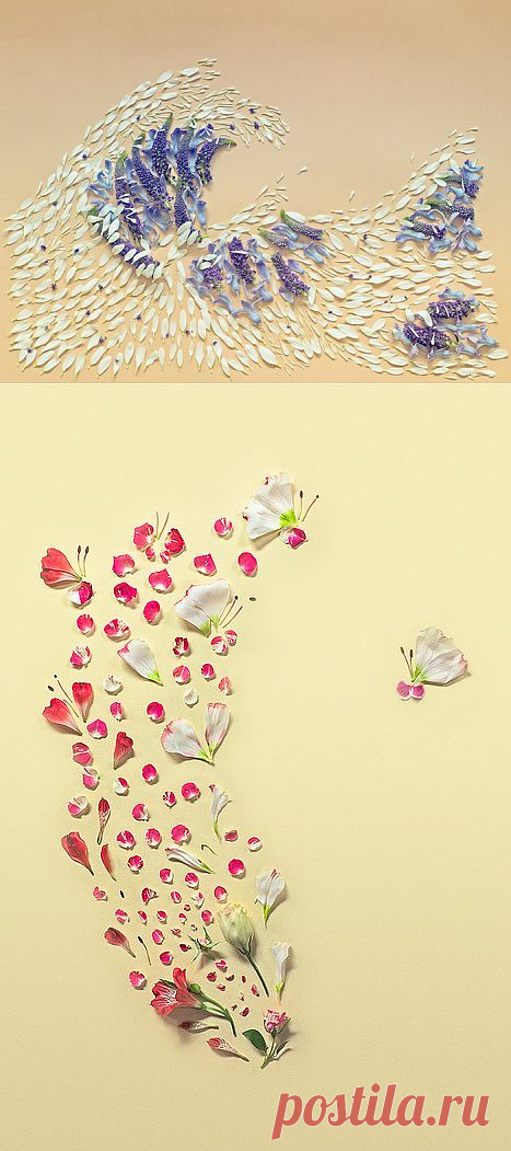 Рисунки из цветочных лепестков от фотографа Фонг Ци Вея (Fong Qi Wei)