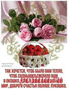 ღ(ړײ)ღРАДУГА ЖИЗНИღ(ړײ)ღ