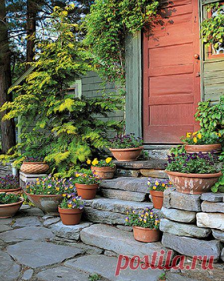 (+1) тема - Оформление крыльца красивыми цветами | Роскошь и уют