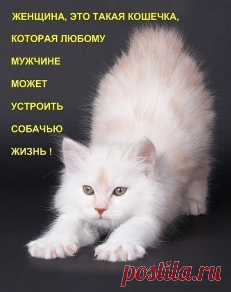 Результаты поиска - Google+