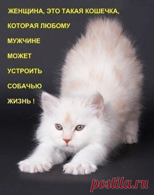 Результаты поиска - Google+