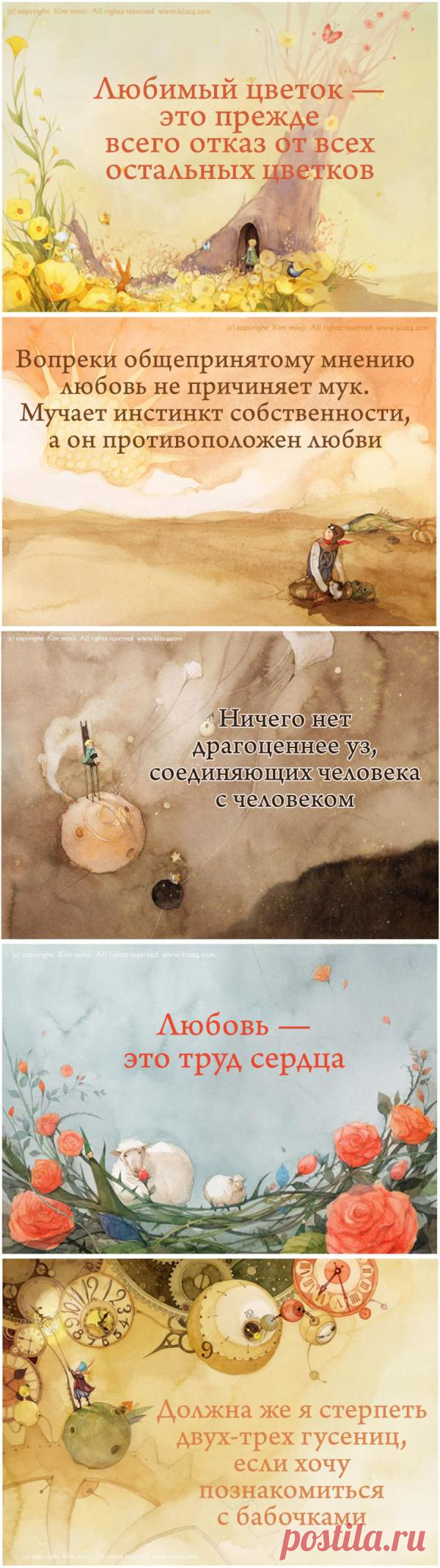 22 цитаты о чувствах Антуана де Сент-Экзюпери | Полезные советы