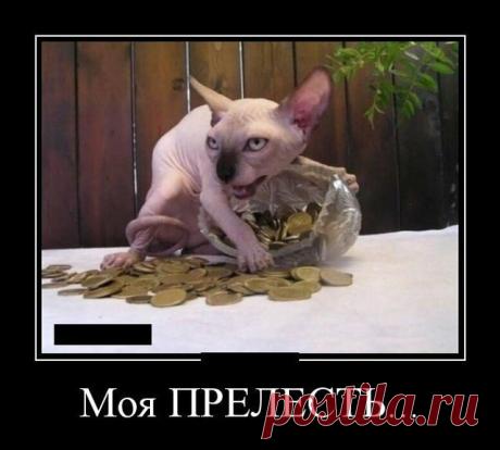 Поднимающие дух и настроение демотиваторы — Убойный юмор