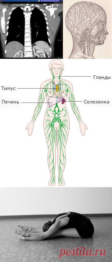 Есть 1 секрет спасения здоровья. Вы не поверите