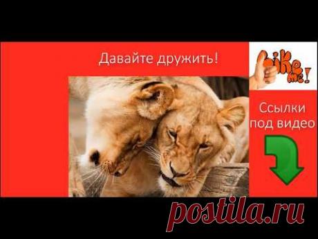 Авторитетность в Liveinternet На что влияет? От чего зависит? | Telemost.video