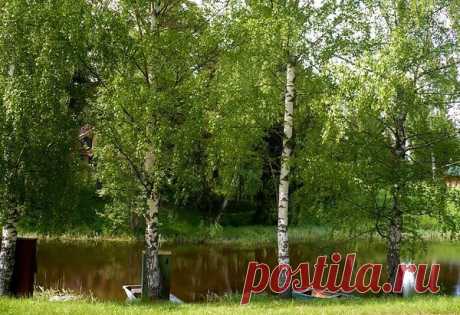 &quot;ФотоПОЗИТИВ&quot;
Сибирячка www