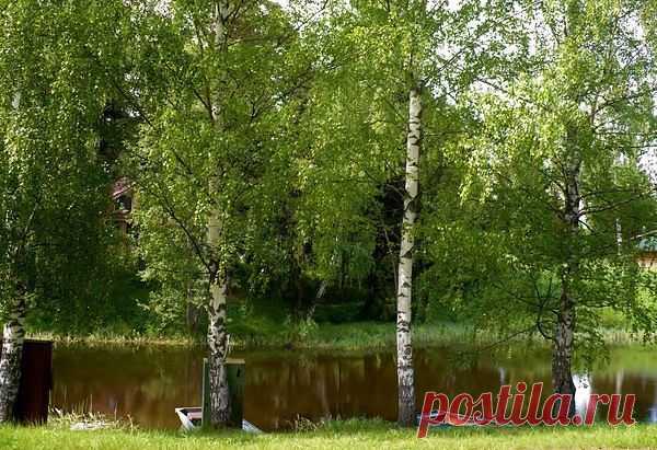 "ФотоПОЗИТИВ"
Сибирячка www