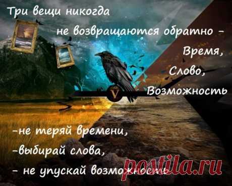 Умные мысли умных:) и не только... В Кругу Друзей — социальная сеть