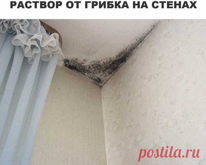 Борьба с грибком на стенах – еще одна тяжкая проблема в ремонте, но после обработки стен таким веществом, вы забудете, как выглядит грибок.