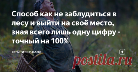 Способ как не заблудиться в лесу и выйти на своё место, зная всего лишь одну цифру - точный на 100% С таким ориентиром, зная и держа в голове всего лишь одну цифру можно никогда не заблудиться и легко выйти на то место, откуда вы заходили в лес.
Вы никогда не заблудитесь, если будете помнить это!
Способ выйти из леса, когда заблудились
В последнее время по СМИ, в частности по телевидению и в интернете в социальных сетях часто замечаем, что с приходом грибных и ягодных сезонов тут и там стали про