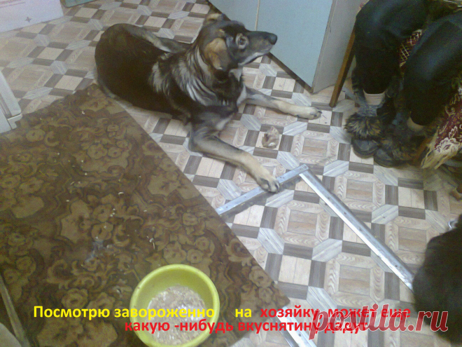 попрошайка...