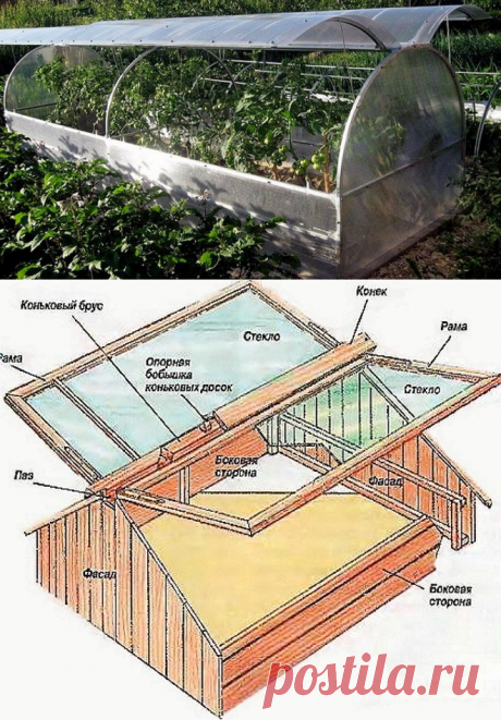 Парник-бабочка – дешевая и практичная теплица
