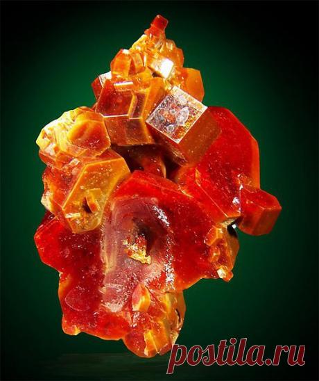 Интересные новости