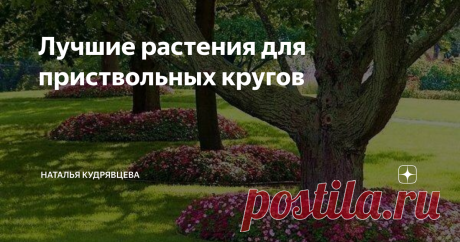 Лучшие растения для приствольных кругов Споры о том, высаживать или нет растения в приствольных кругах деревьев, продолжаются постоянно и садоводы никак не могу прийти к единому мнению. И у одного, и у второго варианта существует много последователей и противников. Обычно "общее мнение" сводится к следующему: под деревьями можно высаживать весенние луковичные растения, которые декоративны в то время, когда листва только начинает появляться.  В июне нарциссы, мускари и тюль...