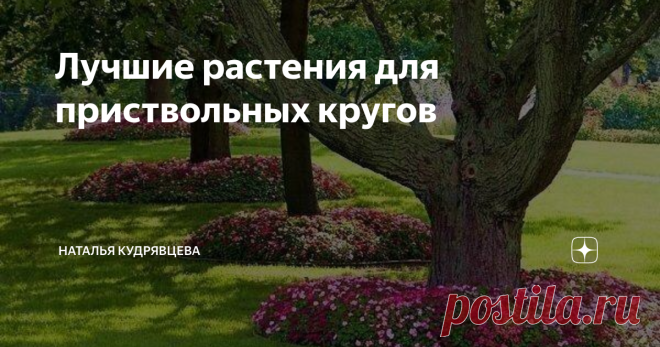 Лучшие растения для приствольных кругов Споры о том, высаживать или нет растения в приствольных кругах деревьев, продолжаются постоянно и садоводы никак не могу прийти к единому мнению. И у одного, и у второго варианта существует много последователей и противников. Обычно 
