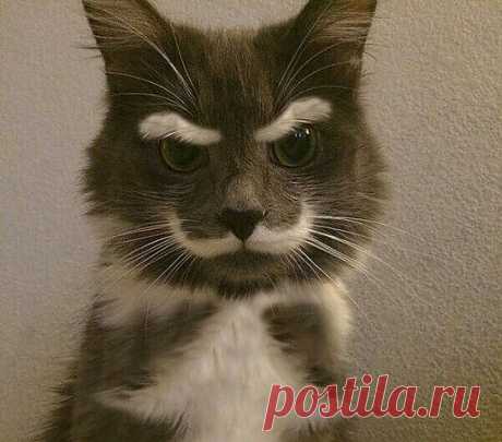 Вот уж природа матушка,наградила красотой так наградила=))))))))