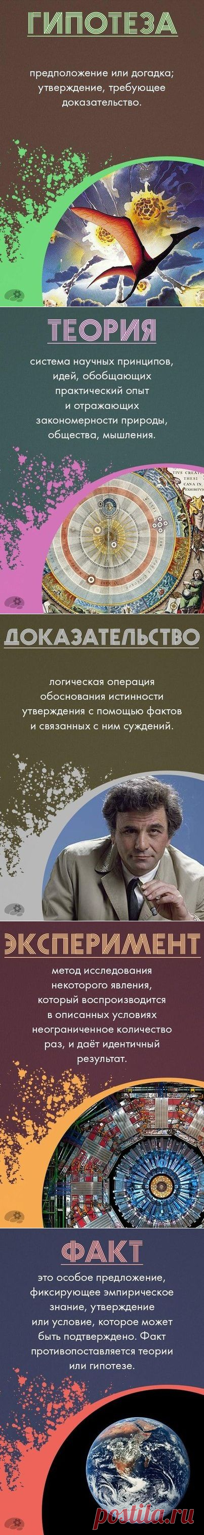 Главные термины, отражающие суть научного познания, которые должен знать каждый