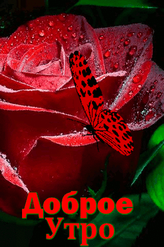 Доброе утро