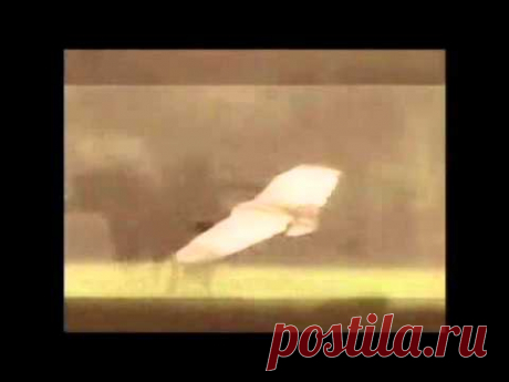 Журавли. Исполнитель не известен 1973