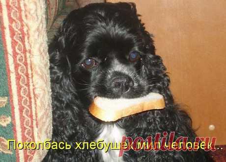 не полноценный бутер......