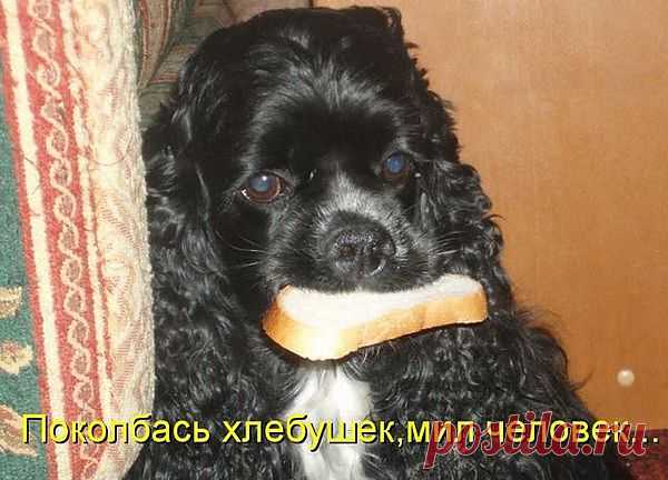 не полноценный бутер......