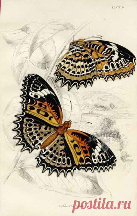 Картинки для творчества | 1 772 фотографии | ВКонтакте