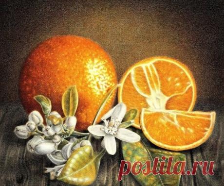 Работа была нарисована четырьмя цветными карандашами.