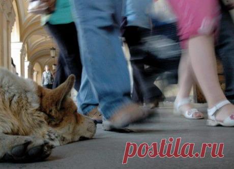 Что страшнее равнодушие или ненависть? | (AS)-Философия реальности