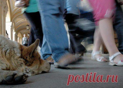 Что страшнее равнодушие или ненависть? | (AS)-Философия реальности