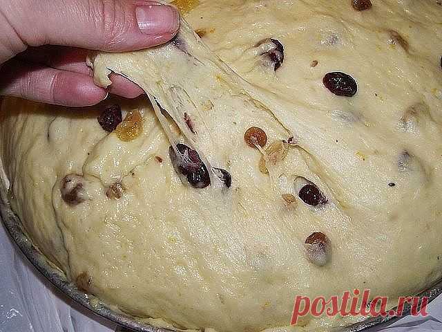 Изумительное тесто для куличей! 
Александрийское тесто (для куличей) 
Совершенно потрясающие куличи! Сладкие, нежные, мягкие... Вкуснее я не ела в жизни! 
Рецепт бабушкин, готовит она по этому рецепту уже несколько десятков лет. 
С порции получается очень много куличей, смело делите количество на 2, 3, 4... 
1 л. топленого молока; 
1 кг. сахара; 
500 гр. слив. масла; 
10 яиц; 
3 желтка; 
150 гр. свежих дрожжей. 
Яйца слегка взбить, масло порезать кусочками, смешать все про...