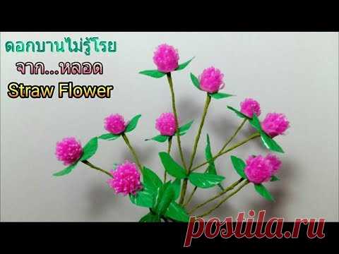 ดอกไม้จากหลอด ดอกบานไม่รู้โรยจากหลอด by มายมิ้นท์ Globe amaranth STRAW FLOWER