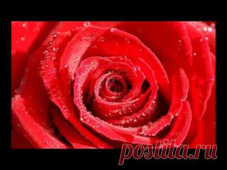 С ДНЕМ РОЖДЕНИЯ! ВОДОЛЕЯМ ПОСВЯЩАЕТСЯ! - YouTube