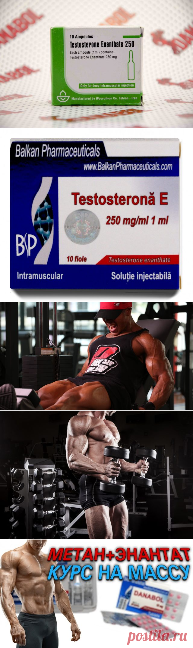 Обзор курсов тестостерона энантата