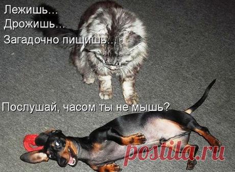 Интересные новости