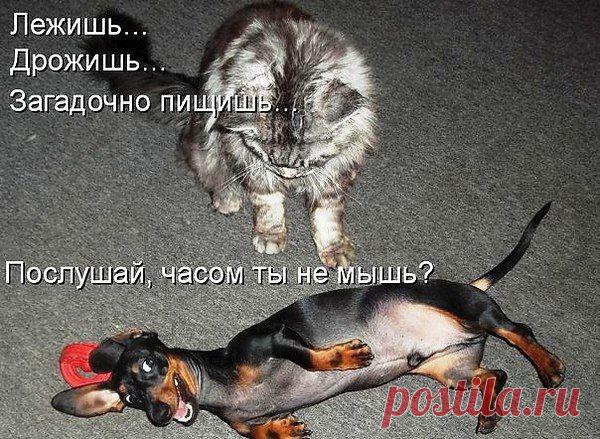 Интересные новости