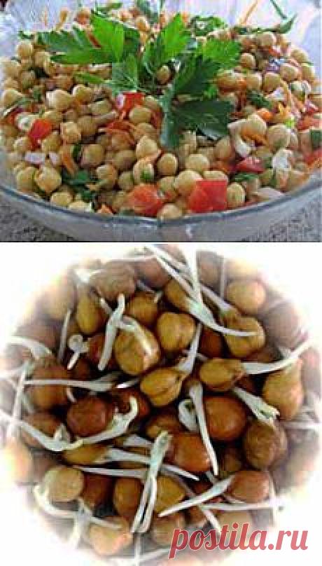 Нут. Полезные свойства. Рецепты. Пророщенный нут | Блог Ирины Зайцевой
