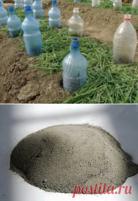 (58) Одноклассники