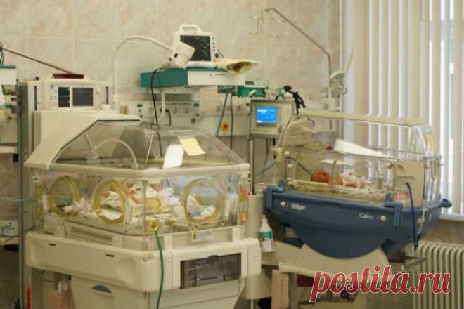 Впервые в Кировской области родилась четверня // KP.RU