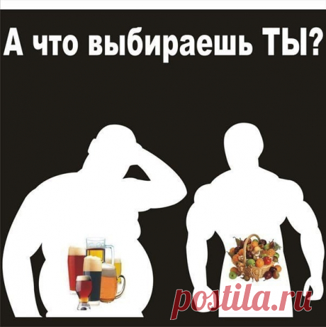Картинки про ЗОЖ (42 фото) ⭐ Забавник