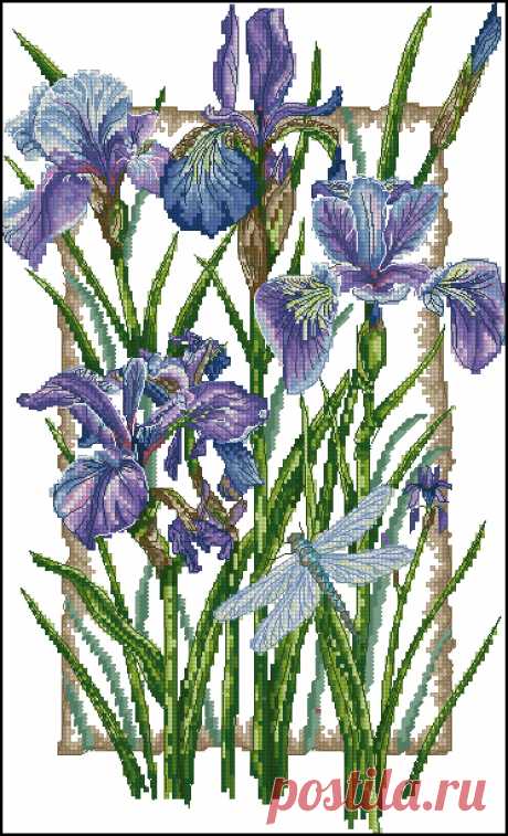 Сачать схему вышивки &quot;Iris&quot;