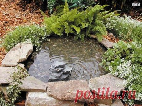 Прудик из старой покрышки