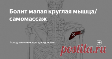Болит малая круглая мышца/самомассаж Статья автора «Йога для начинающих для здоровья» в Дзене ✍:    Малая круглая мышца – часть вращательной манжеты плеча.