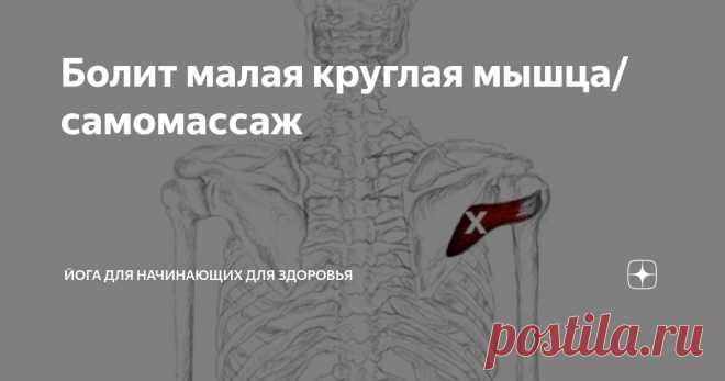 Болит малая круглая мышца/самомассаж Статья автора «Йога для начинающих для здоровья» в Дзене ✍:    Малая круглая мышца – часть вращательной манжеты плеча.