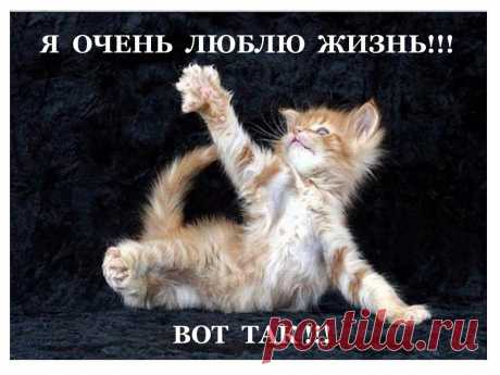 Я ТОЖЕ ЛЮБЛЮ ЖИЗНЬ, ОЧЕНЬ, ОЧЕНЬ, ОЧЕНЬ!!! А ВЫ?