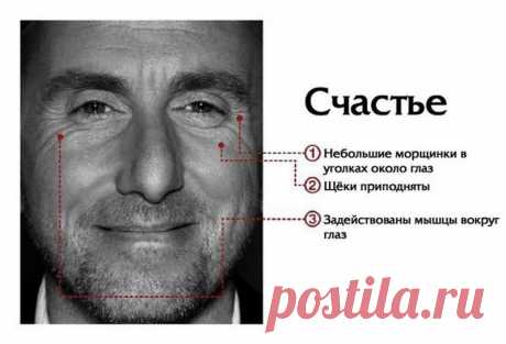 Зоны НАПРЯЖЕНИЯ лица: ЧТО с ними связано? | Всегда в форме!