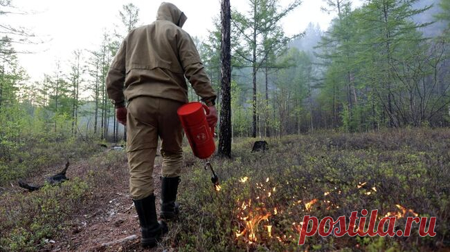 В Крыму потушили крупный пожар в заповеднике