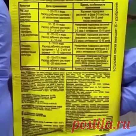 Халявка
Хочу поделиться с вами, мои дорогие, уникальным рецептом! Называется сей продукт- Халявка. Рецепт подарила мне мама моей подруги- сама она была родом из Белоруссии, готовила тАк, что до сих пор помним, а ее уже давно нет с нами. Вот уже 20 лет я ежегодно готовлю только эту заготовку. Бывает, пробую новые рецепты, но халявка всегда! Это 1 порция на 3 килограмма помидоров.
Сам рецепт:
3 кг помидоров
1 кг моркови
1 кг лука
1 кг болгарского перца
300 гр раст. масла
100...